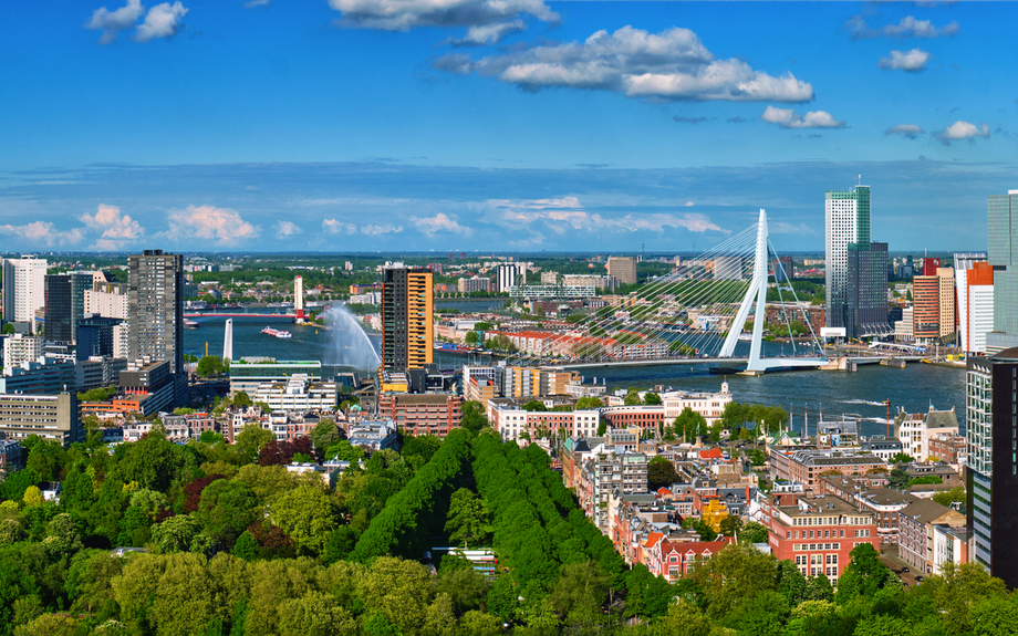 Rotterdam und Erasmusbrücke