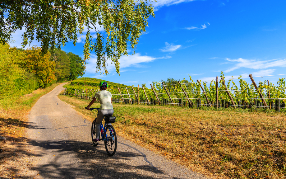 Radtour durch Riquewihr im Elsass, Frankreich