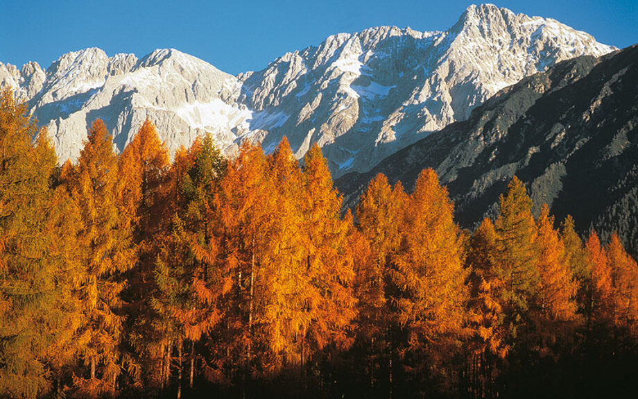 Herbst in Tirol