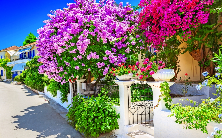 Haus mit Bougainvillea