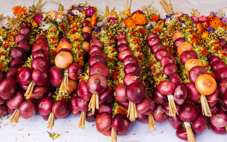 Bündel roter und beiger traditioneller deutscher handgefertigter Zwiebelplatten, die zur Dekoration auf einem Tisch liegen