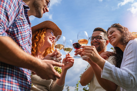 Freunde beim Weintrinken im Weingut