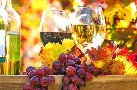 Herbstlicher Wein