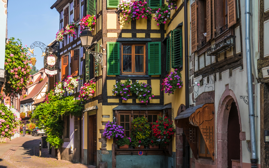 Ribeauvillé an der Elsässer Weinstraße