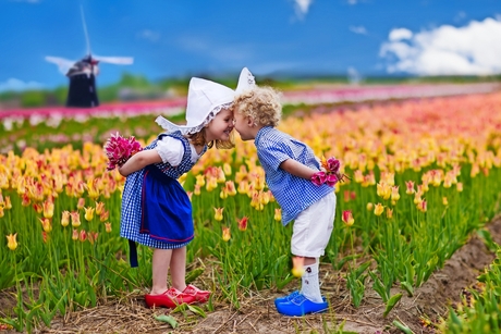 Niederländische Kinder in Tulpenfeld