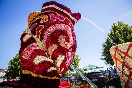 Steinfurther Rosenfest