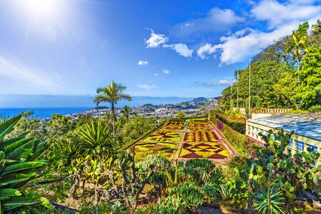 Botanischer Garten Funchal