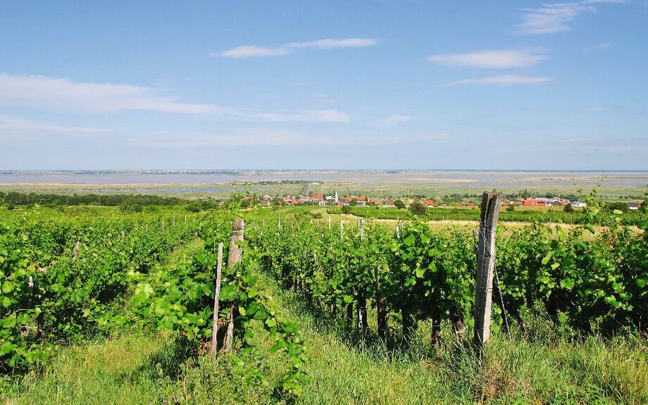 Urlaubs-und Weinort Mörbisch am Neusiedler See