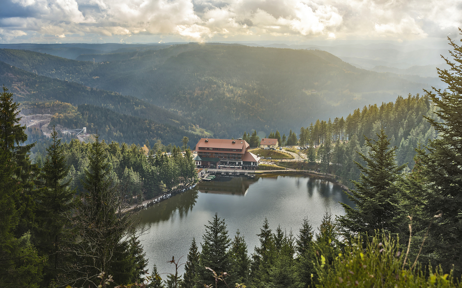 Schwarzwald