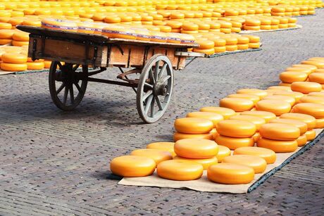 Käsemarkt in Alkmaar