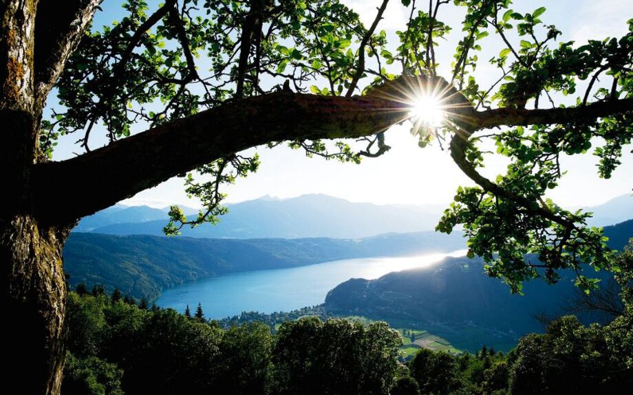 Kärnten Panorama 