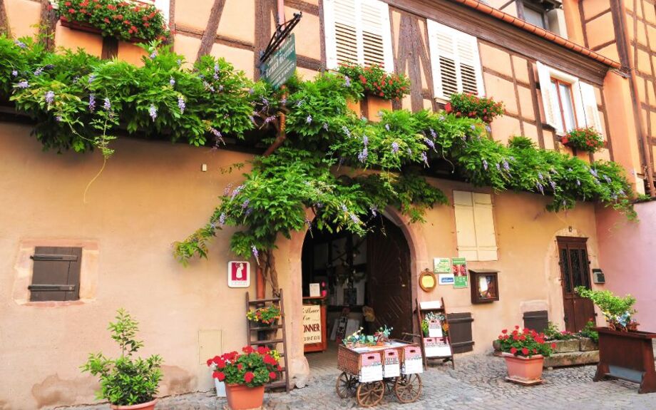 Riquewihr im Elsass