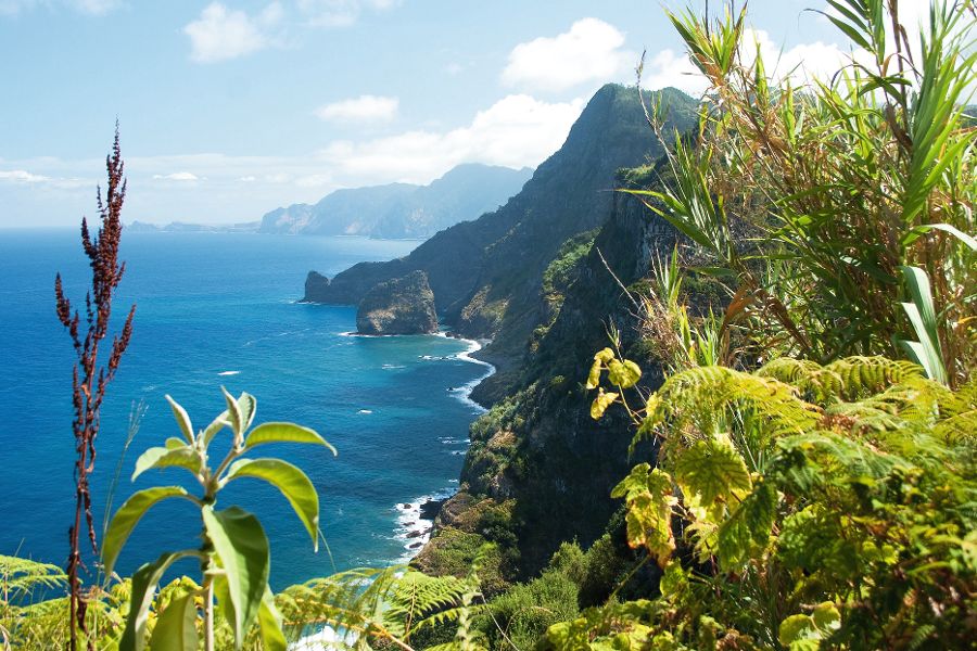 Madeira, Nordostküste in der Nähe von Santana