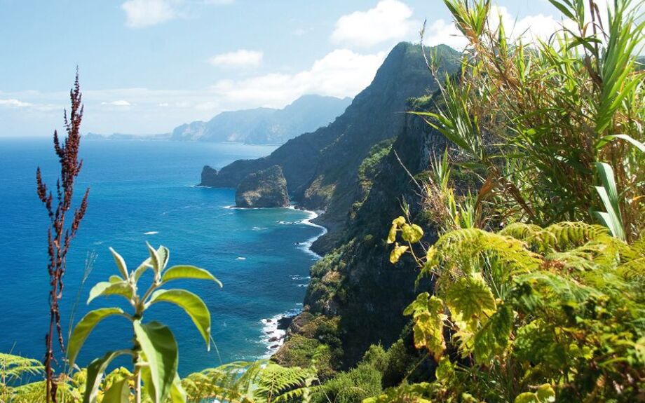 Madeira, Nordostküste in der Nähe von Santana