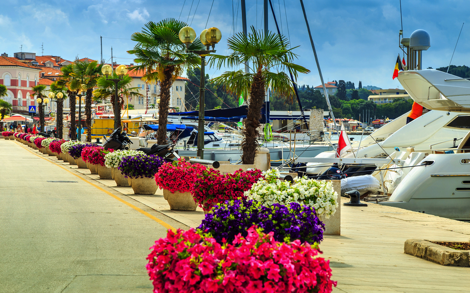 Atemberaubende bunte Blumen und Promenade,Porec,Istrien Region,Kroatien,Europa