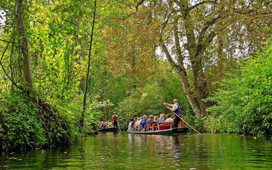 Spreewald