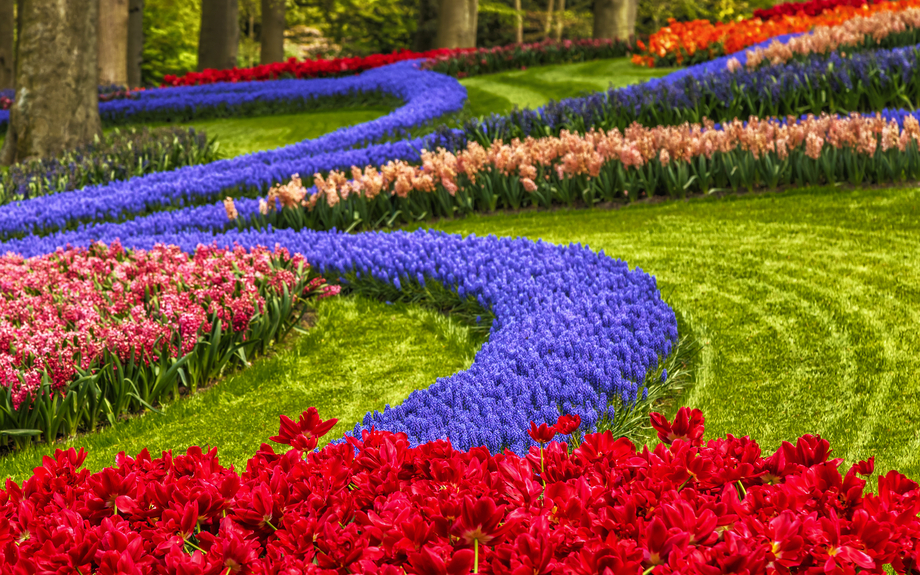 Keukenhof in den Niederlanden