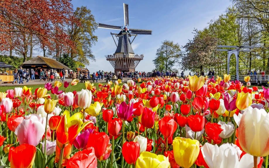 Keukenhof in den Niederlanden