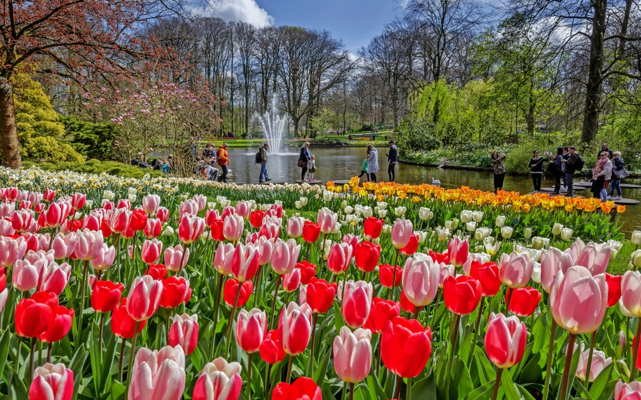 Keukenhof in den Niederlanden