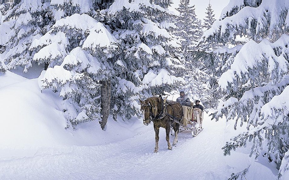 Kutschfahrt durch den Winterwald