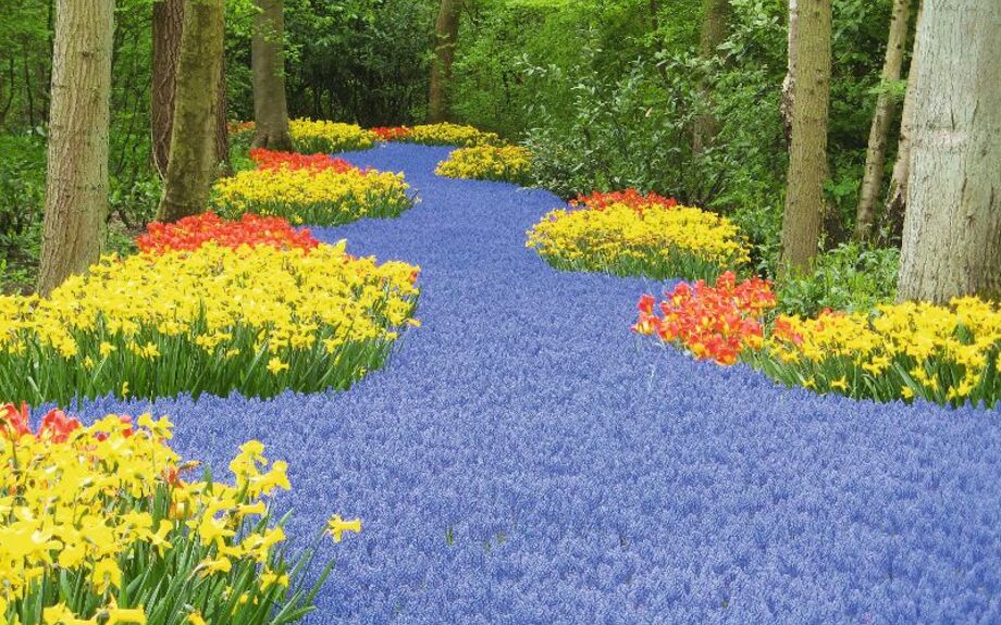 Keukenhof