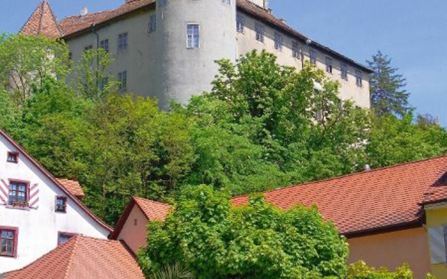 Altes Schloss - Meersburg